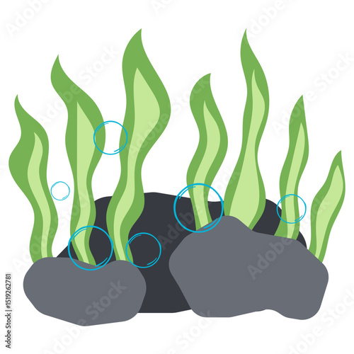 Seaweed Illustration