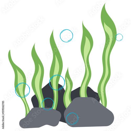 Seaweed Illustration