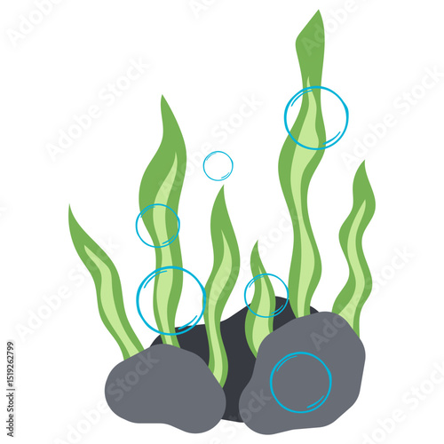 Seaweed Illustration