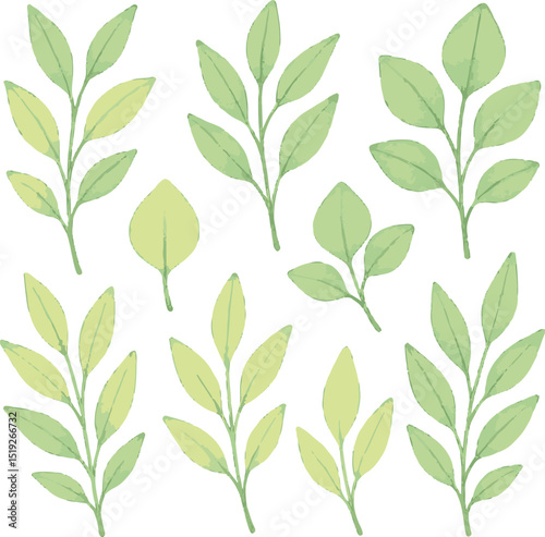 seamless pattern with green tea leaves vector 