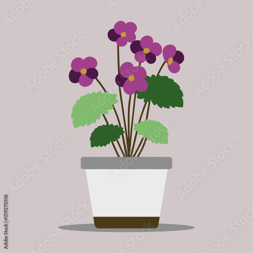 flowers in a pot