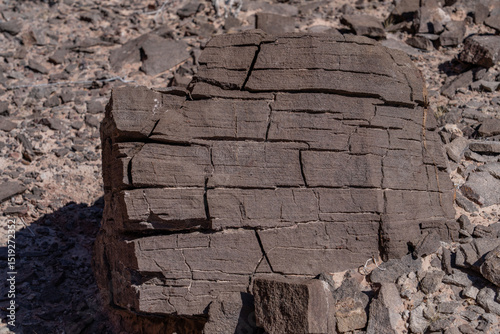 Obraz na płótnie Willow Tank Formation (Lower Cretaceous)—Claystone and siltstone, carbonaceous shale, sandstone and sandy conglomerate