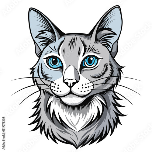 vector illustration of a cat