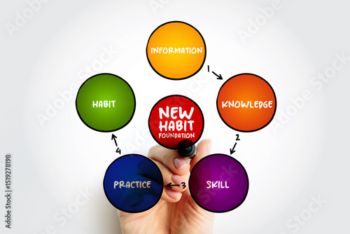 Step by step process diagram of New Habit Foundation, business concept background