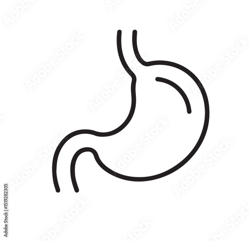 Human Stomach Line Icon – Digestive Organ Outline Symbol for Medical and Health Use