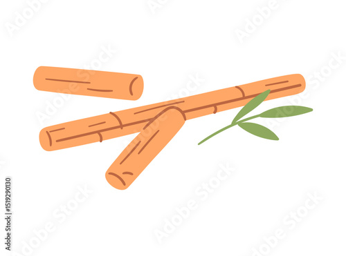 Bamboo massage sticks. Traditional Asian spa tools for muscle therapy, acupressure and reflexology. Hand drawn vector illustration.