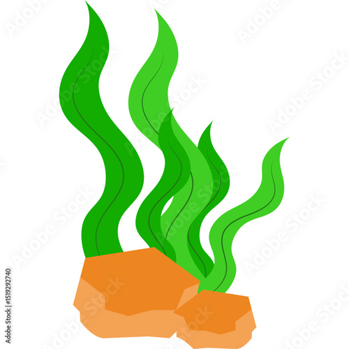 Seaweed Illustration