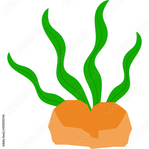 Seaweed Illustration