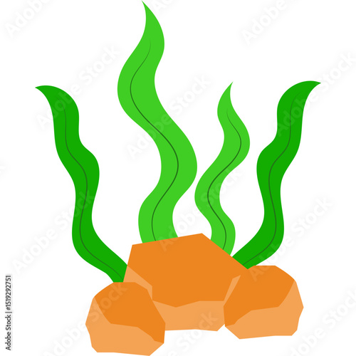 Seaweed Illustration