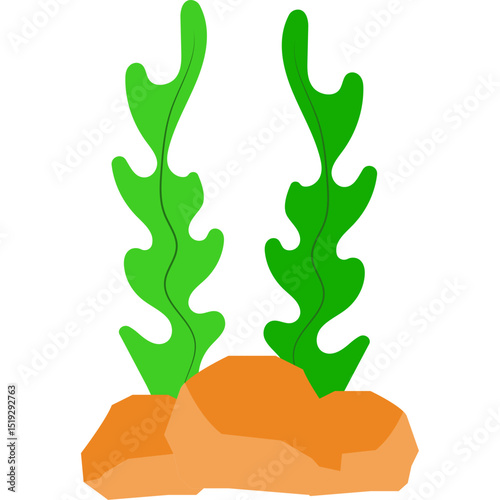 Seaweed Illustration