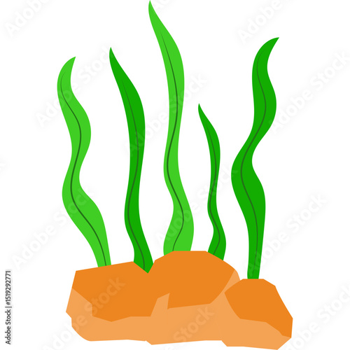 Seaweed Illustration