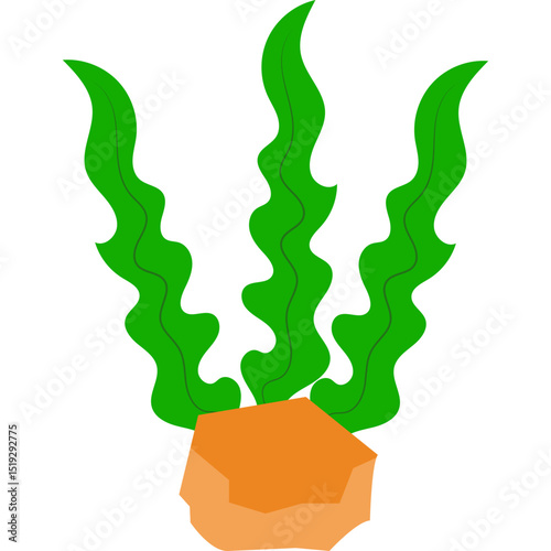Seaweed Illustration