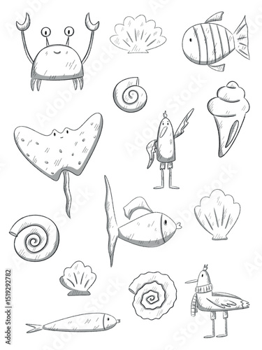 Hand-drawn sea creatures and shells