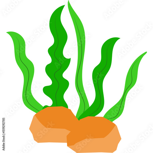 Seaweed Illustration