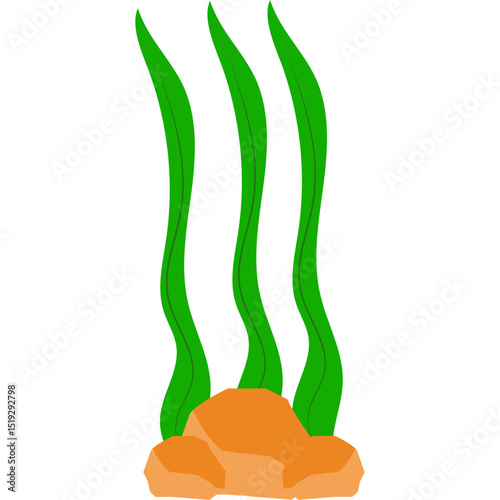 Seaweed Illustration