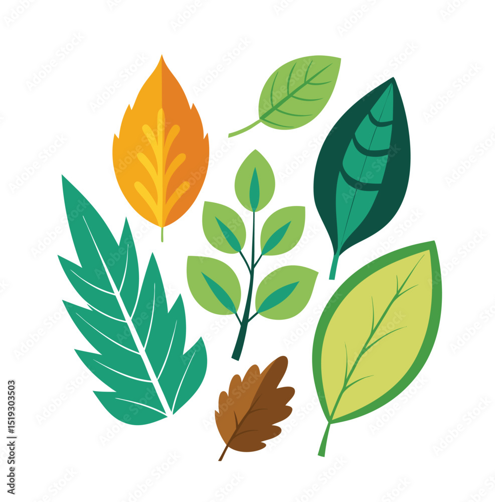 Tree Leaf Vector Illustration Isolated on White Background