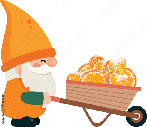 Cheerful Garden Gnome Hauls Fresh Oranges
