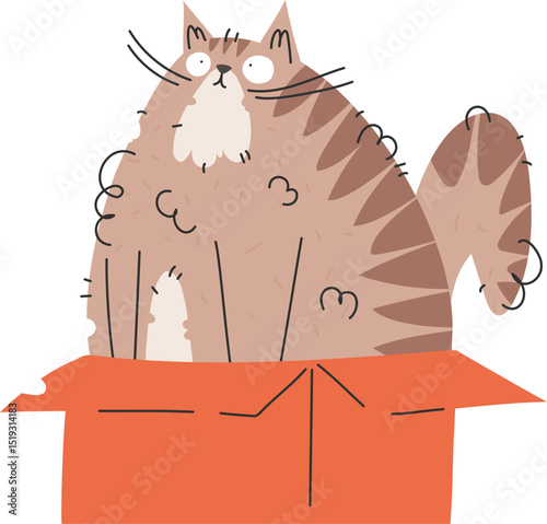 Cat in a Box Illustration. Funny Feline Sitting in an Orange Cardboard Box.