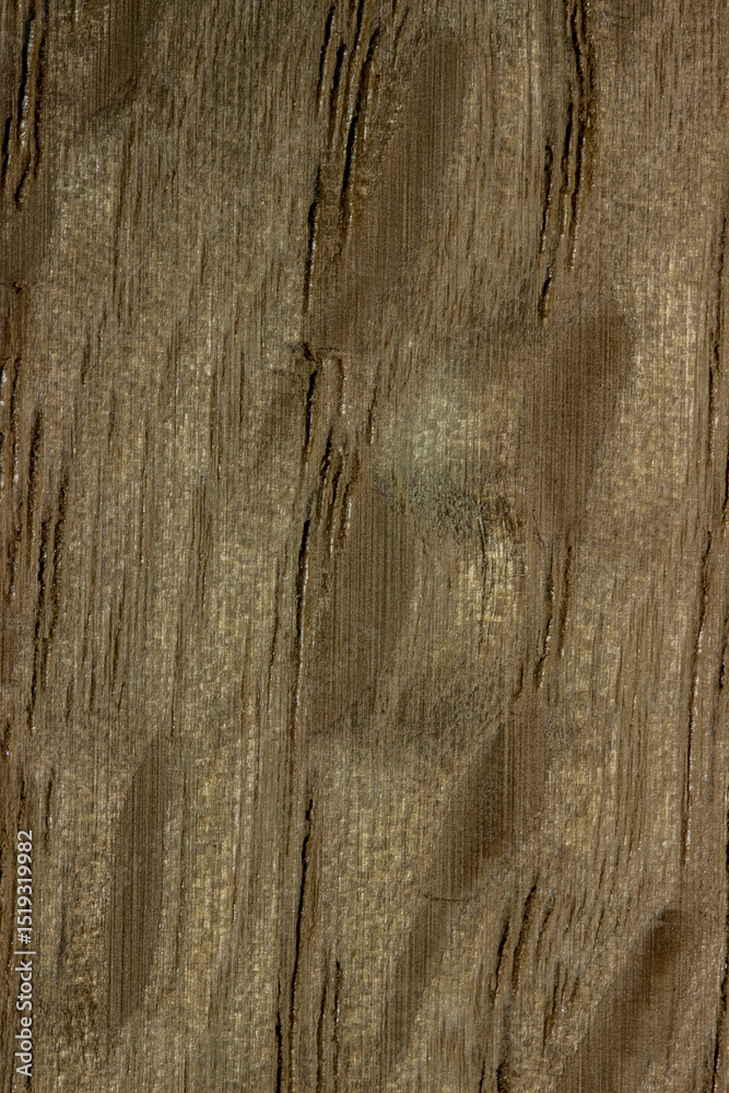 Obraz premium texture of old wood. aged board. dark, green, a place for a text or object. artificial wooden coating, from recycled materials, beautiful texture, the effect of aging