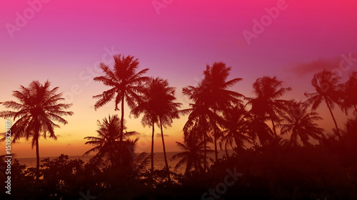 Fototapeta Naklejka Na Ścianę i Meble -  Silhouette of palm trees at sunset. Silhouette palm tree at tropical beach background