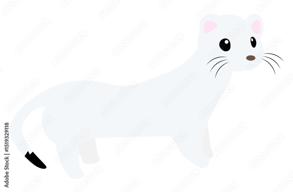 Fototapeta premium Cute Stoat Walking Pose Illustration