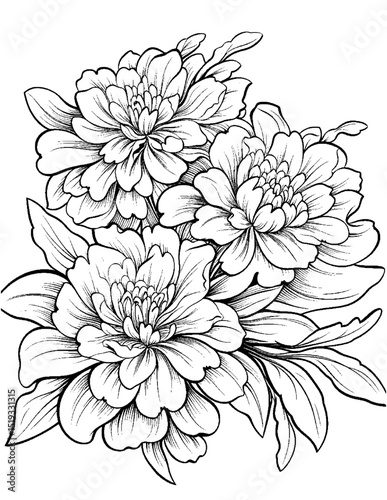 Wallpaper Mural vector drawing of a hand drawn flower Torontodigital.ca