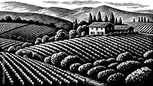 Vintage hand drawn sketch of vineyard landscape with grapevines, rural plantation fields, and winery house. Countryside scene in engraved style. Monochrome black and white vector illustration