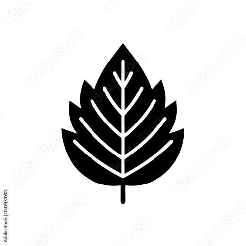 chestnut leaf   black lines on white background  v (1).svg