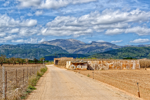 A dirt road through a field with mountains in the background on Mallorca photo