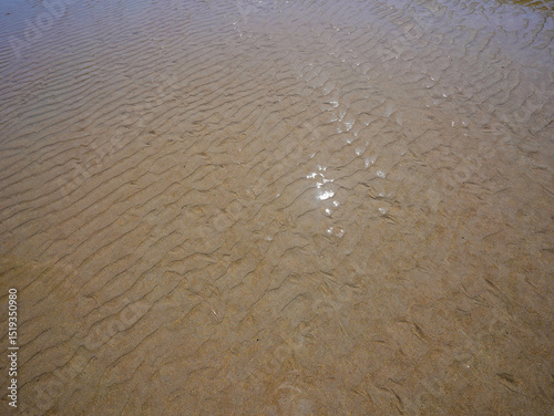 Fototapeta Naklejka Na Ścianę i Meble -  Gentle ripples shimmer beneath a thin layer of seawater on the sandy shore