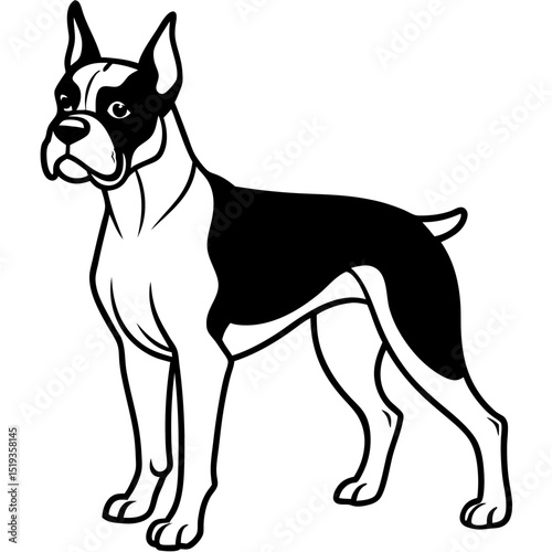 Simple Boxer Dog Vector on White Background
