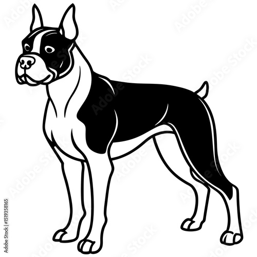 Simple Boxer Dog Vector on White Background