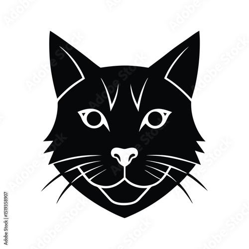 black and white cat face