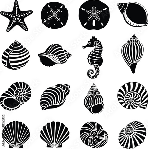 Vector illustration collection of diverse seashells starfish seahorse and beach related elements