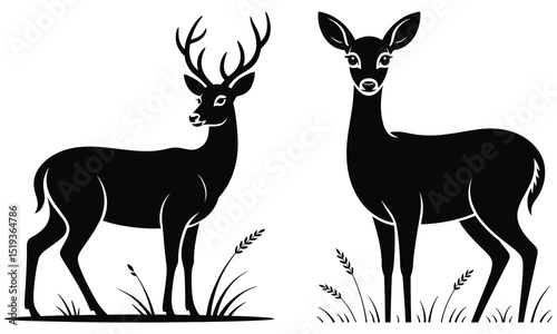 set of deer