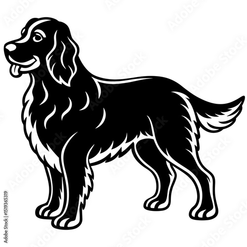 Boykin Spaniel Vector on White Background