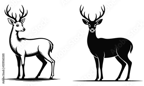 deer vector set