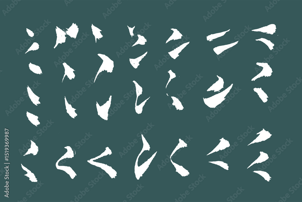 Fototapeta premium calligraphy and ink brush stroke collection and abstract brush stroke set