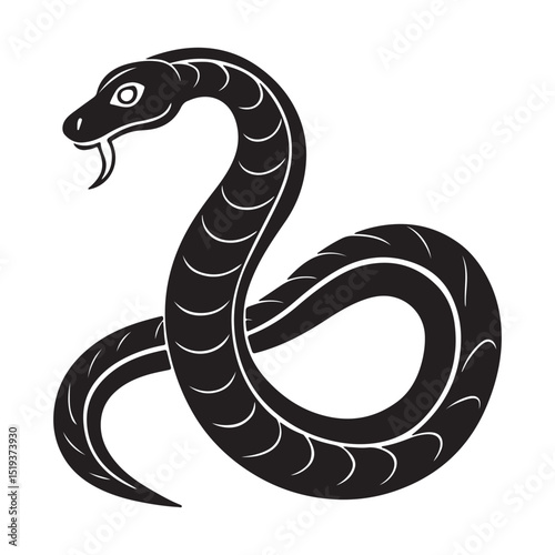 black and white snake