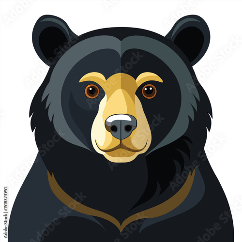 panda bear vector