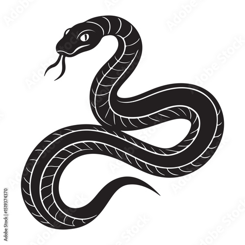 black snake vector illustration
