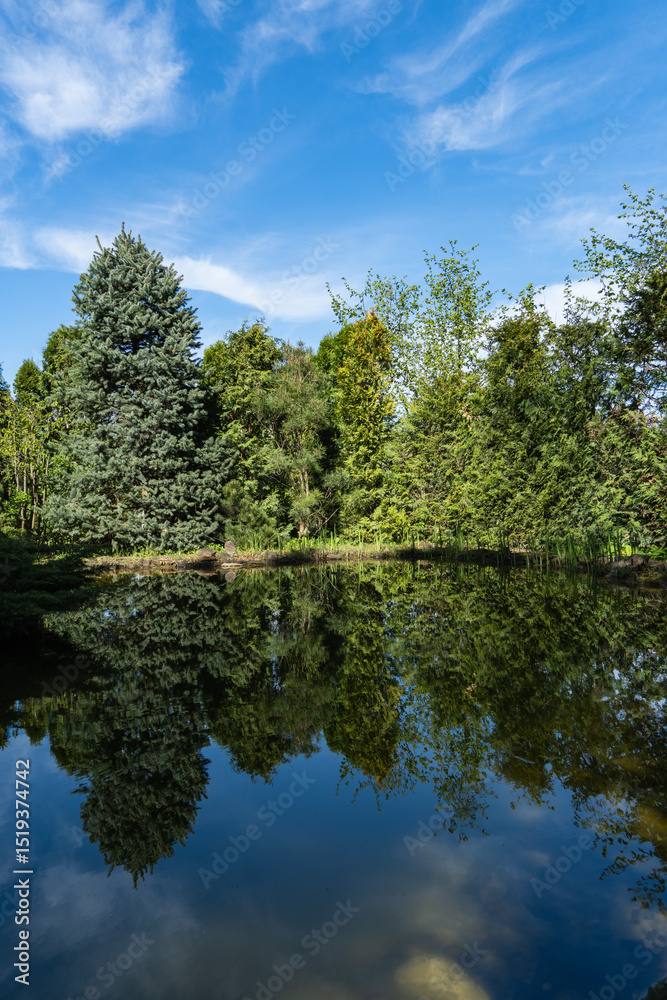 Tranquil garden spring pond reflecting lush greenery and tall evergreen plants and trees under clear blue sky creating serene natural landscape. Nature concept for spring design. Tranquil garden spring pond reflecting lush greenery and tall evergreen plants and trees under clear blue sky creating serene natural landscape. Nature concept for spring design.