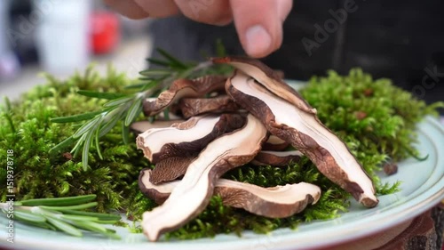 Polish Dehydrated Mushroom Jerky. Marinated porcini strips with rosemary, 18-hour dehydration. Visible meat-like fibers. Warsaw farmers market setting. 