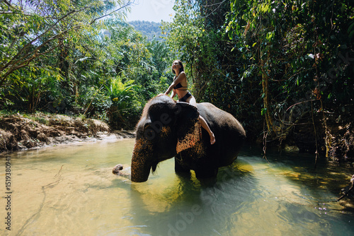 Tableau sur toile woman enjoys riding an elephant through a gentle river, surrounded by vibrant green foliage and tropical scenery on a warm, sunny day