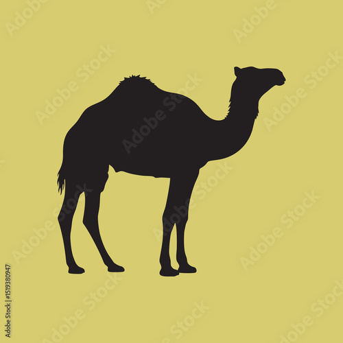 vector silhouette of a camel