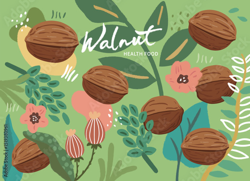 Colorful Hand Drawn Walnut and Leaf Illustration – Healthy Food Design