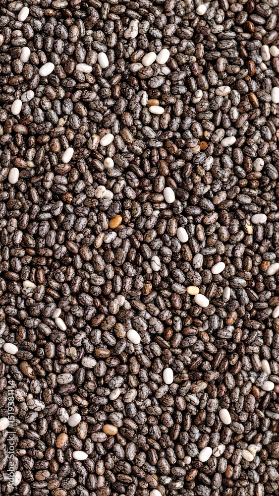A close-up view reveals an assortment of chia seeds spread out, highlighting their glossy surface and various shades. This scene captures their nutritional value and agricultural significance. A close-up view reveals an assortment of chia seeds spread out, highlighting their glossy surface and various shades. This scene captures their nutritional value and agricultural significance.