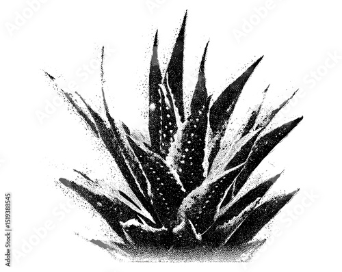 Aloe with retro photocopy stipple effect, grunge punk collage design, vintage halftone brutalist style, vector illustration for banner, poster, alternative fashion, urban art, indie aesthetic.