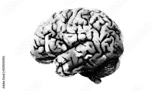 Brain with halftone stipple effect, grainy photocopy texture, grunge punk collage design, y2k style, experimental dotted retro banner, vector illustration, abstract art, edgy poster design.