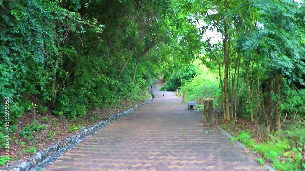 Walking path in park in tropical nature in Pattaya Thailand.